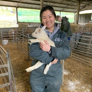 Meet your Posher, Alicia